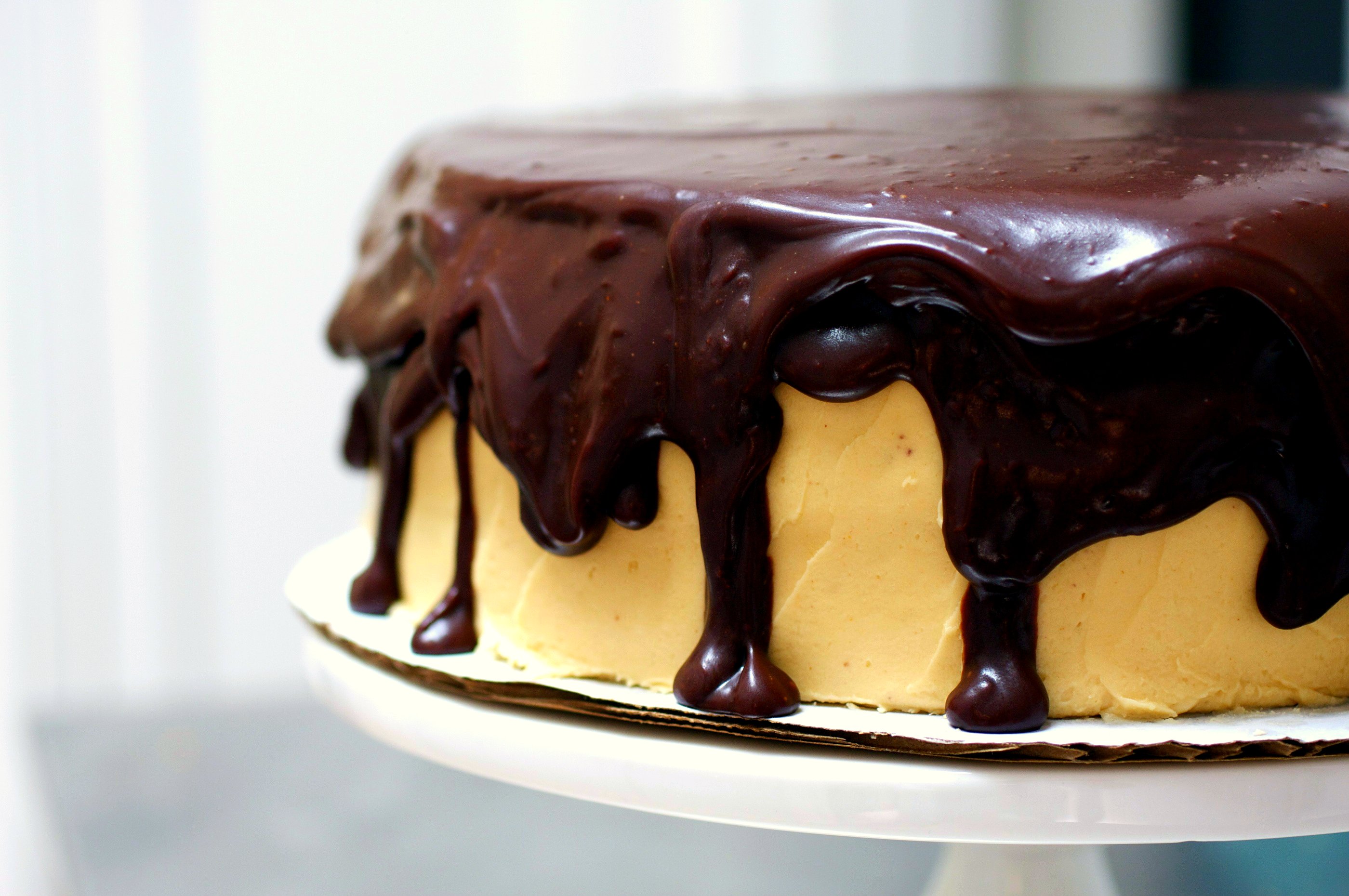 chocolate peanut butter cake image
